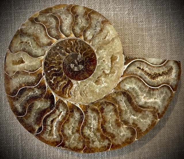 VIBES OF GAIA 

Bijoux en pierres naturelles et micromacramé